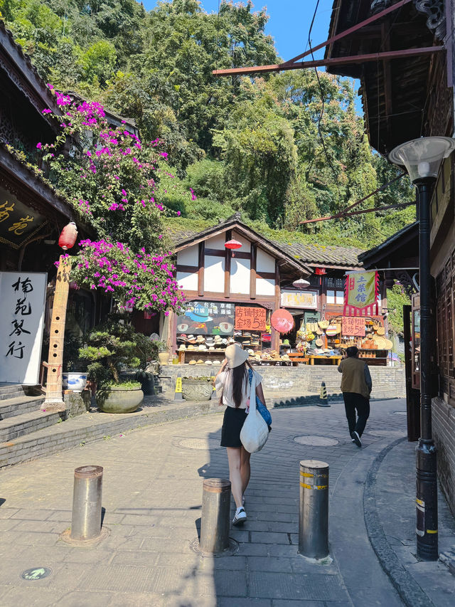 การเดินทางไปตูเจียงเหยี่ยน Dujiangyan เฉิงตู