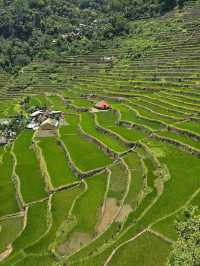 BATAD RICE TERRACES