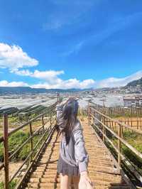Baguio Escape 🍓✨