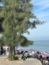 廈門環島路的椰林樹影