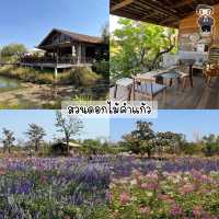 🗺️✨ มัดรวมพิกัด เที่ยวนครพนม - ท่าแขก 3 วัน
