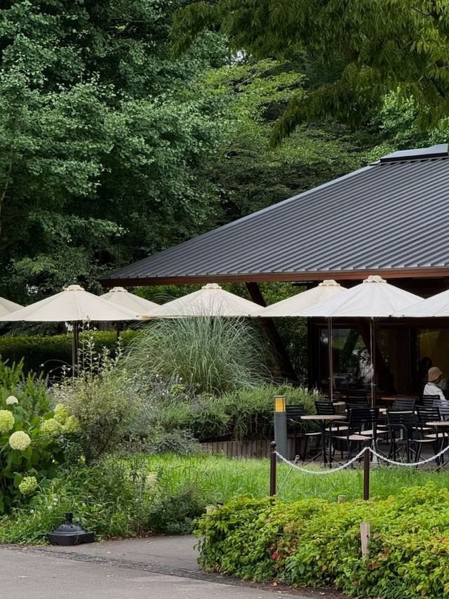 Explore the Heart of Tokyo at Ueno Park