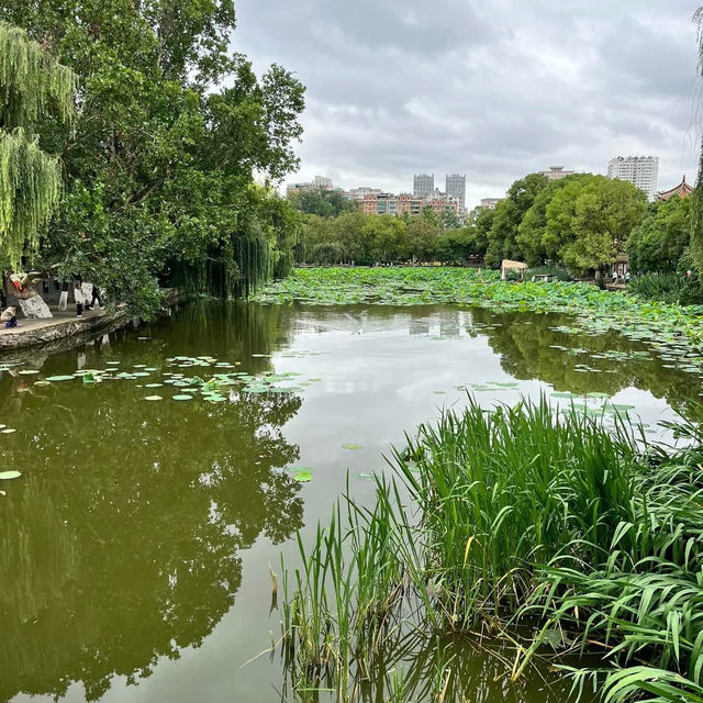 🌿 A Peaceful Escape in Kunming: Green Lake Park (翠湖) 🌿