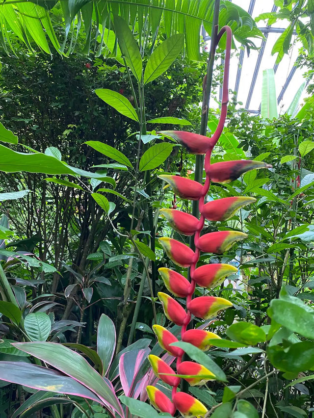 Wings of Wonder: Discover Entopia’s Living Paradise