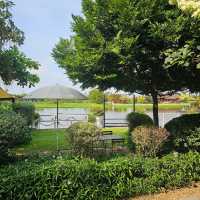 🌿☕ The Scene Cafe by the River 