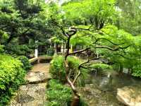A Quiet Pause in the City – Jing’an Park
