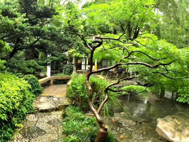 A Quiet Pause in the City – Jing’an Park