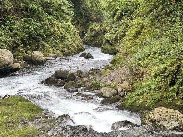 【宮崎】神々が集った洞窟🌌天安河原で心を整える神話旅