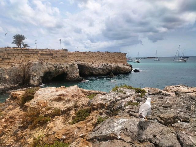 Exploring Isla de Tabarca