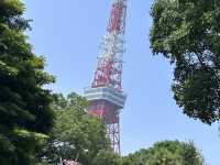 到東京怎能不到東京塔🗼