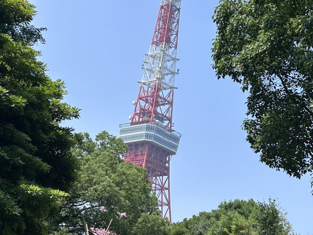 到東京怎能不到東京塔🗼