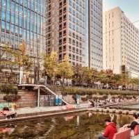 Cheonggyecheon Stream: Seoul's Urban Oasis – A Solo Stroll Through Liquid Light"** 🌊✨   