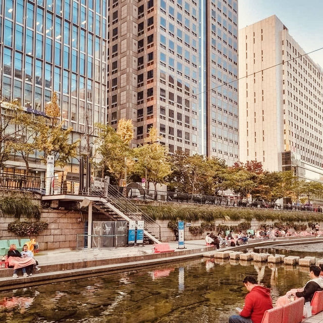 Cheonggyecheon Stream: Seoul's Urban Oasis – A Solo Stroll Through Liquid Light"** 🌊✨   