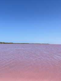 💗 Yes, the Lake Is Actually Pink — Western Australia’s Real-Life Barbiecore Dream 🌸🫧