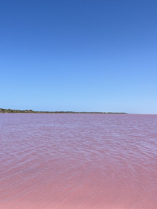 💗 Yes, the Lake Is Actually Pink — Western Australia’s Real-Life Barbiecore Dream 🌸🫧