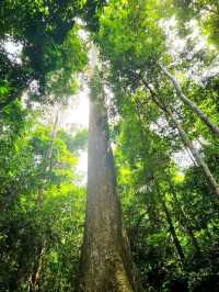Jungle Hike at Khao Chamao Waterfall 