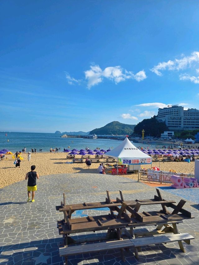 올해 첫 개장했던 거제 와현해수욕장🏖