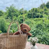 คาเฟ่น่ารักๆ เขาค้อ 🧸🌼🌳