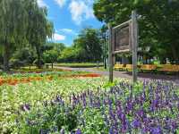 美景如畫-北海道常磐公園