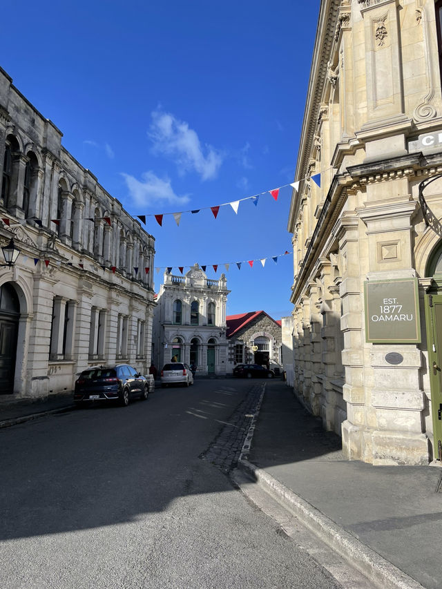 OamaruからOmaramaまでのデイトリップ🫧