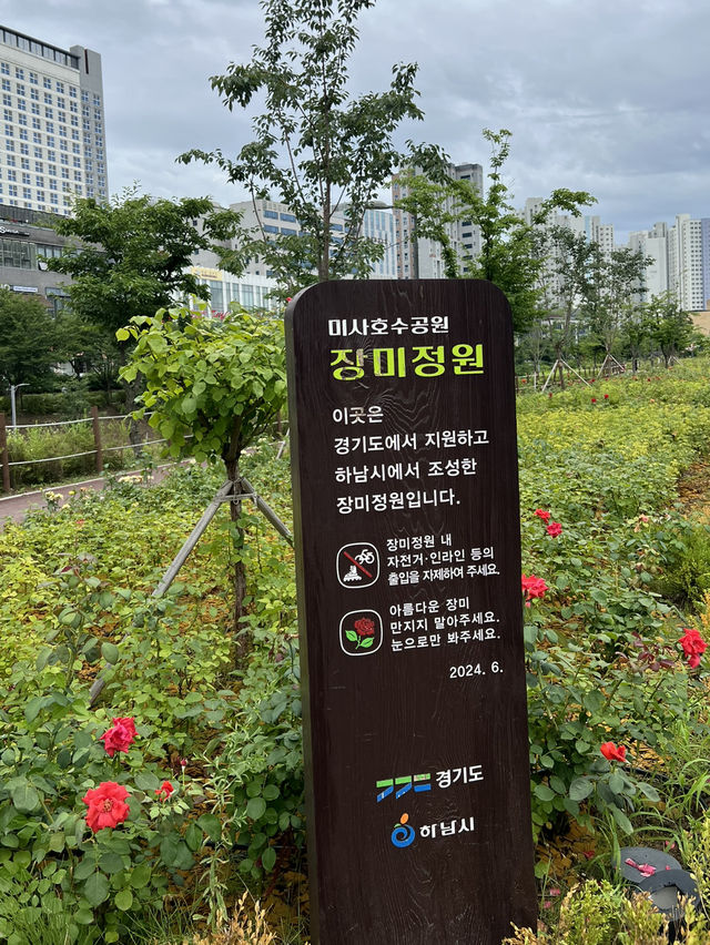장미는 비록 졌지만, 그래도 예쁜 장미정원