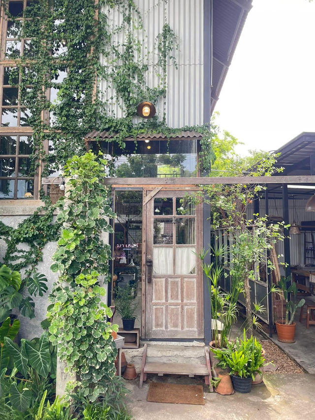 มาเธอร์ mother