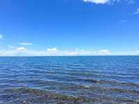 The Heart of the Plateau: Qinghai Lake Unveiled