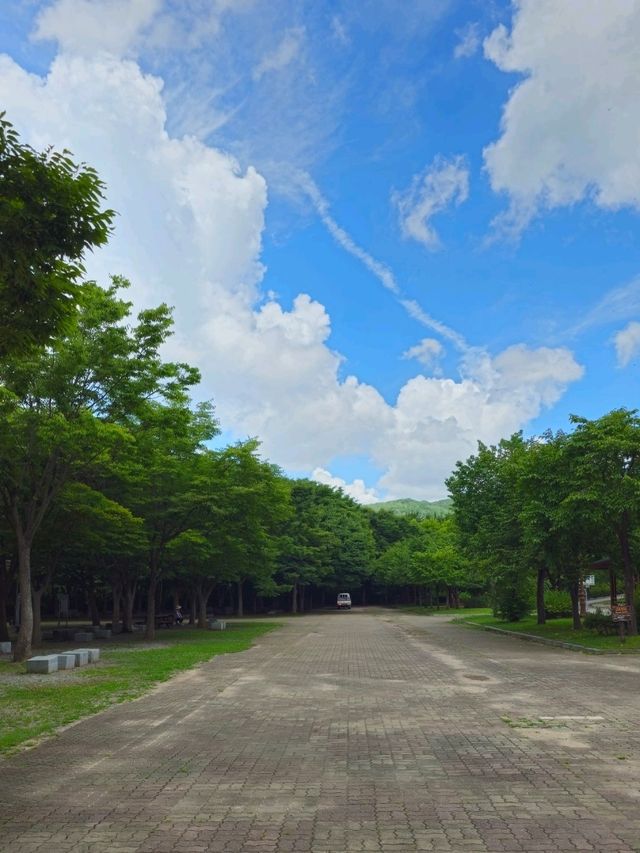 인천대공원 산책과 자전거