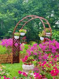 🌸 Summer Bloom at Monet Garden, Tiantan Park Science Garden 🌿