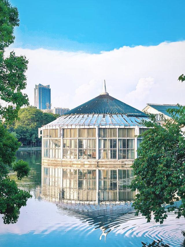 Hefei Xinghua Park’s Floating Book House | A Hidden Gem That’s Only Getting Better 📚🌸