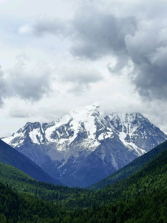 Yuzi West Grassland