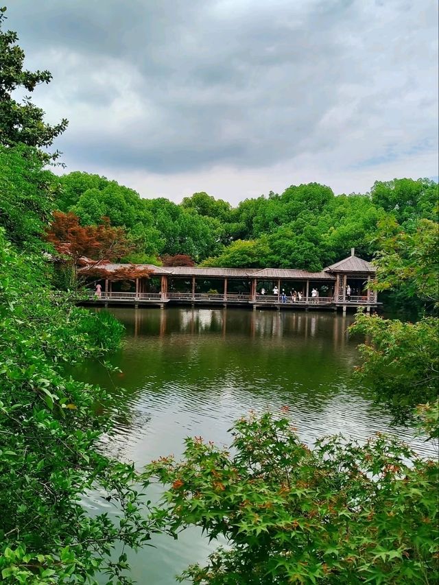 A Walk Through Nature’s Canvas