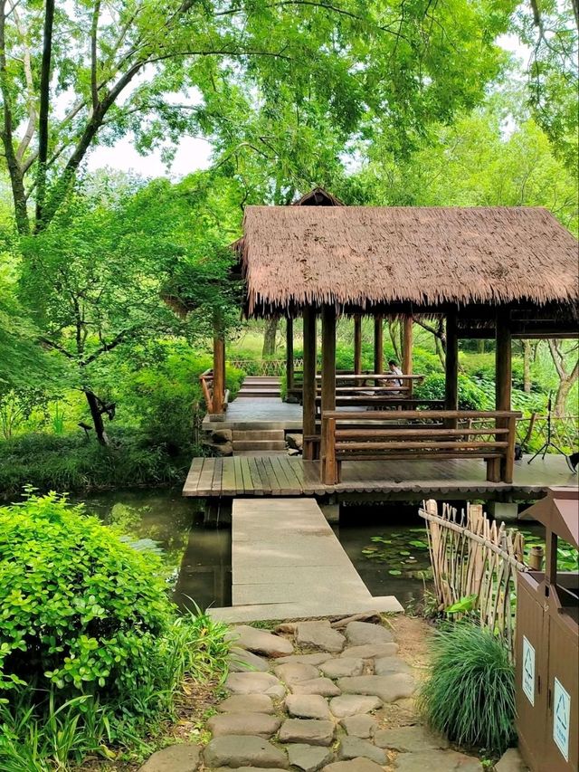 Wandering Through West Lake's Emerald Labyrinth