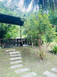 神秘又深山的美食餐廳