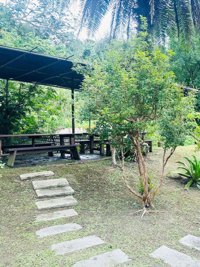 神秘又深山的美食餐廳