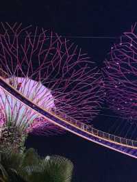 🌃 Singapore Marina Bay at Night – Lights, Water & Pure Magic