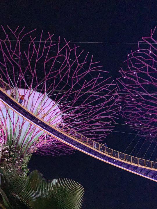 🌃 Singapore Marina Bay at Night – Lights, Water & Pure Magic