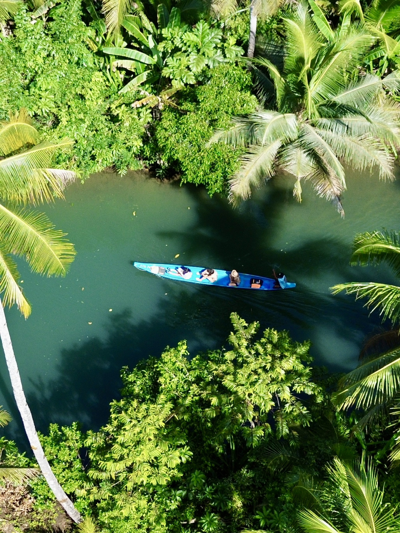 สวรรค์ในป่าที่ซ่อนอยู่ของ Siargao