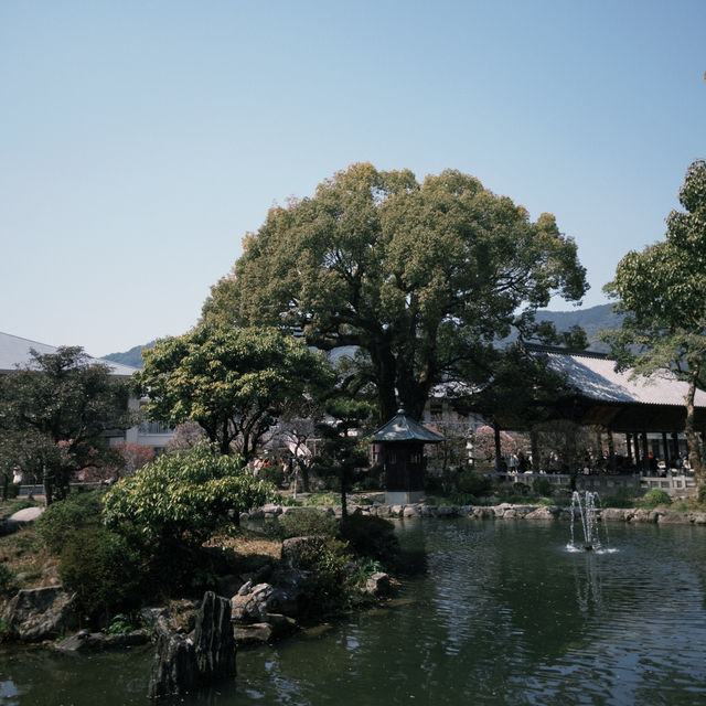 福岡-太宰府天滿宮