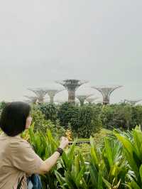 🌿 Gardens by the Bay — Daylight Dreamscape in the Heart of the Bay