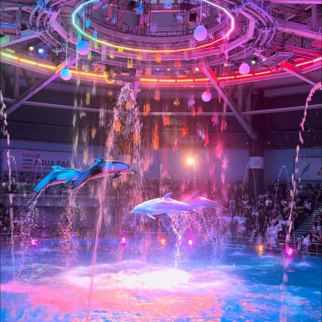 Maxell Aqua Park Shinagawa 🐡🐠🐟