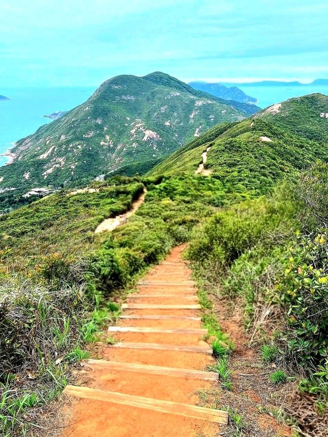 Violet Hill and The Twins: A Scenic Challenge in Hong Kong