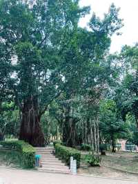 KLCC Park: Serene Green Oasis in the Heart of Kuala Lumpur