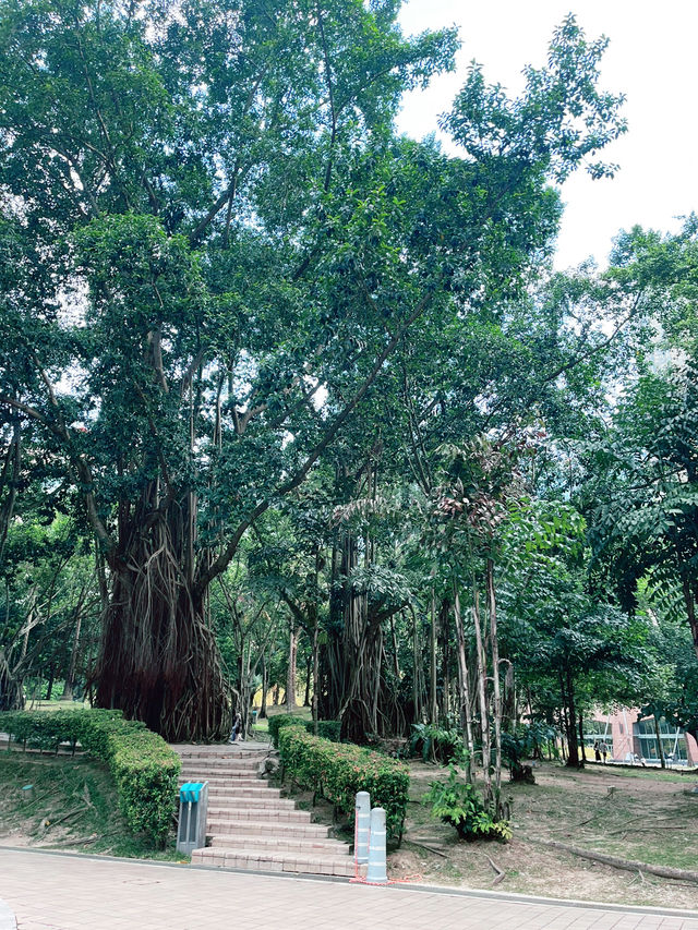 KLCC Park: Serene Green Oasis in the Heart of Kuala Lumpur