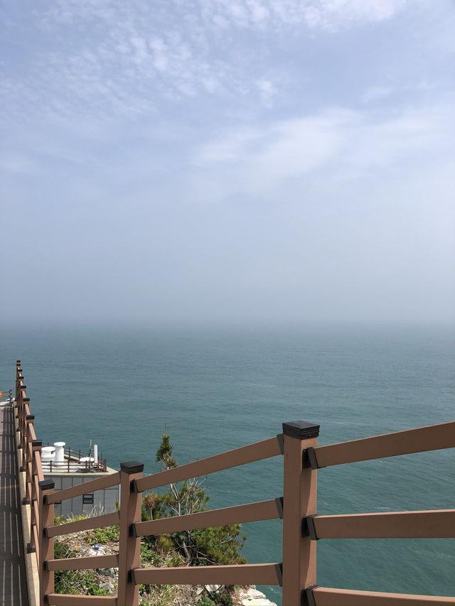 🌊 푸른 절벽과 바다의 조화, 영도 태종대