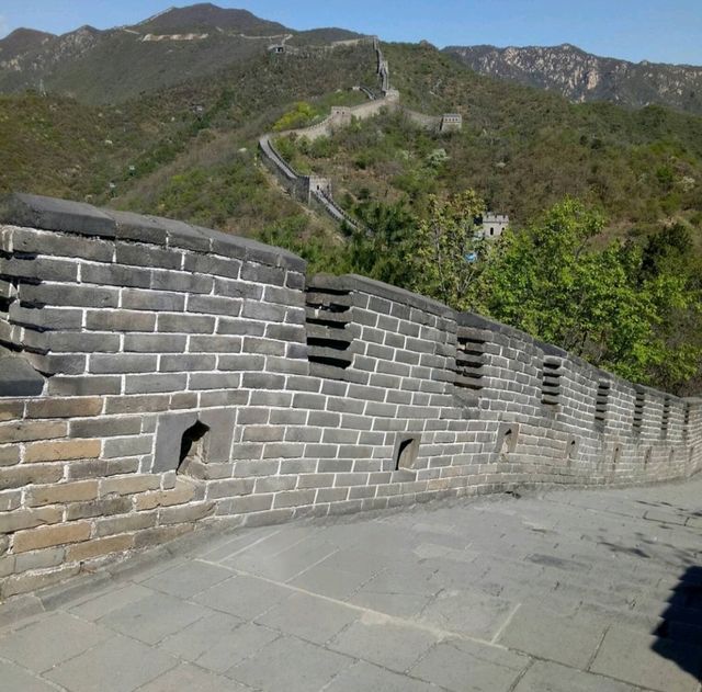 The Great Wall's Green Heart: Discovering Mutianyu's Wild Beauty
