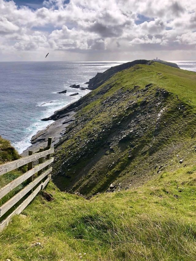 Clifftop Views and Puffin Spotting at Sumburgh Head