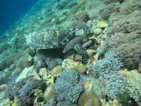Amazing Lombok 