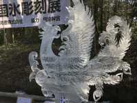 在城市森林中尋求心靈平靜：東京明治神宮遊記