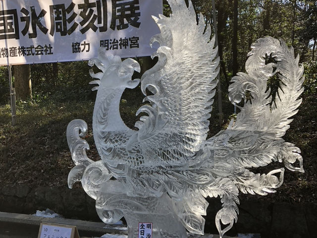 在城市森林中尋求心靈平靜：東京明治神宮遊記